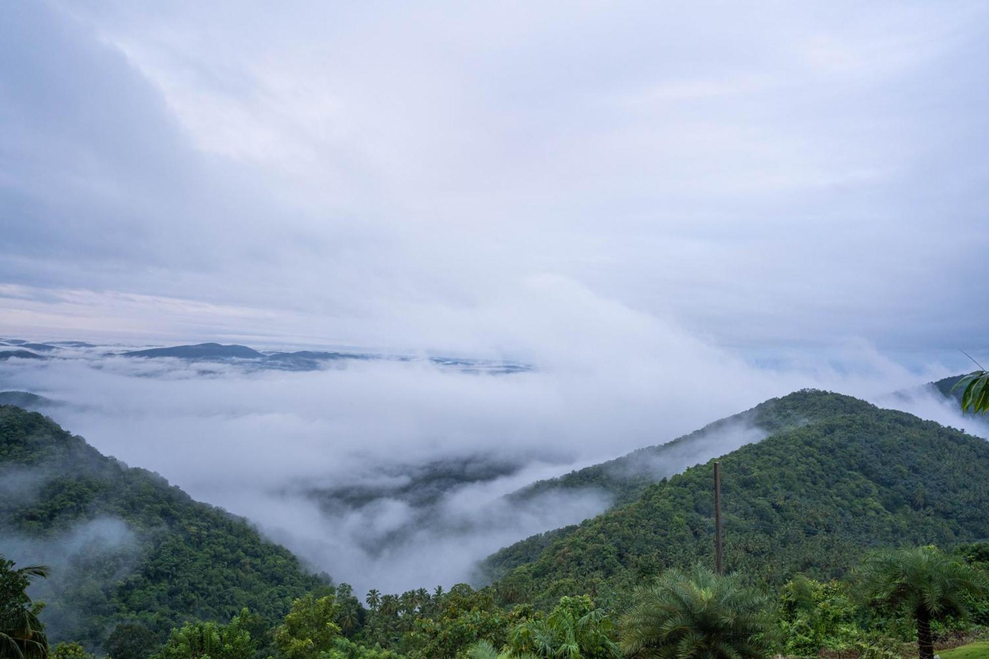 Balussery Mount Stratus Resort Vayalada מראה חיצוני תמונה